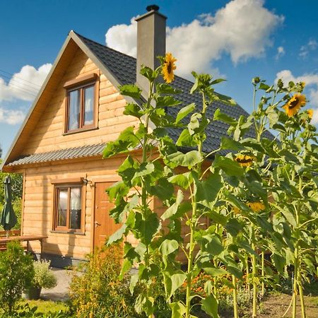 Vila Domek Tworczy Kat Swieta Katarzyna  Exteriér fotografie